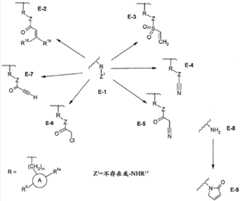 Figure BDA0000479984280000931