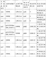 Figure BPA00001563191500571