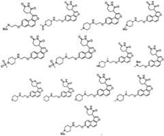 Figure FDA0003480931620000061