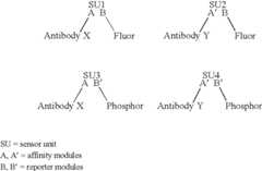 Figure US06660532-20031209-C00001