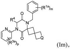 Figure BDA0003027264030000801