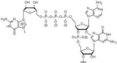 Figure imgf000171_0002