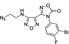 Figure BPA00001327974200963