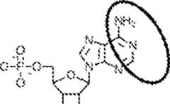 Figure AU2019202835A1_D0265