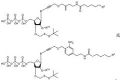 Figure BDA0003670511740003231