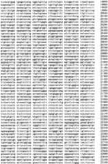 Figure IPA0000293710130000071