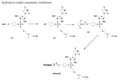 Figure imgf000188_0001