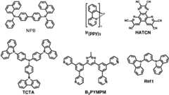 Figure GPA0000246445170000372