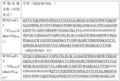 Figure PCTCN2019123555-APPB-000031