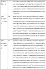 Figure BDA0004113681710001721