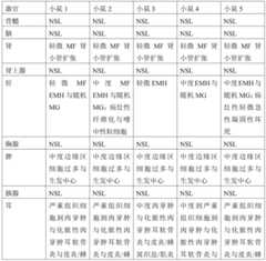 Figure GDA0002731146240002132