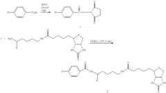 Figure US06358490-20020319-C00040