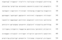 Figure 108123466-A0305-02-0382-247