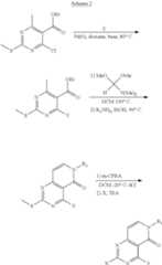 Figure US08404677-20130326-C00004