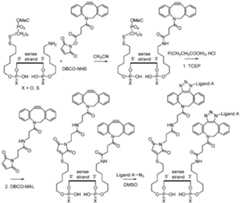 Figure imgf000281_0001