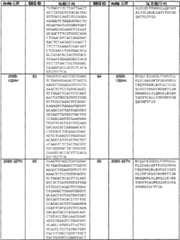 Figure BSA0000239808480000881