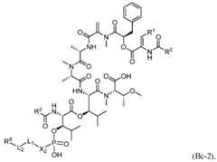 Figure imgf000082_0001