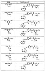 Figure 112007011503269-PCT00173