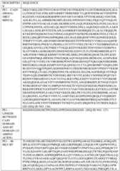 Figure imgf000239_0001