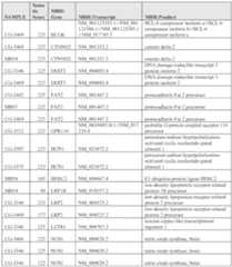 Figure imgf001028_0002