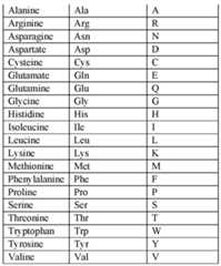 Figure imgf000020_0001