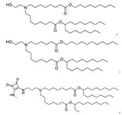 Figure imgf000021_0003