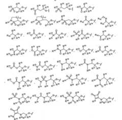 Figure imgf000503_0001