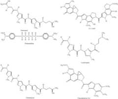 Figure US06312894-20011106-C00001