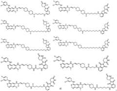 Figure FDA0003610922100000171