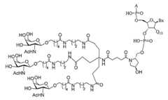 Figure 2023012548000355