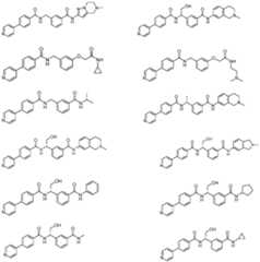 Figure imgf000015_0002