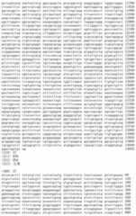 Figure IDA00002091897100511