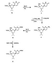 Figure 0007417529000046