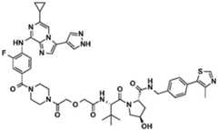 Figure BDA0002964098100001762