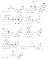 Figure 110138082-A0305-02-0311-25