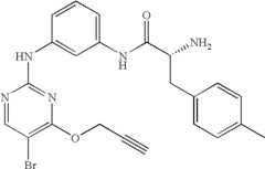 Figure US07504410-20090317-C00283
