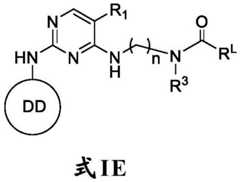 Figure FDA0003508720780000201