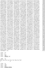 Figure IDA0002536600790000471