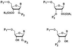 Figure imgf000056_0001