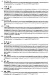 Figure 112008046186434-PCT00023