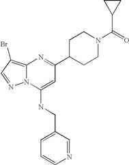 Figure US07119200-20061010-C02340