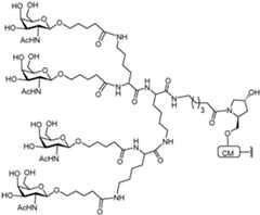 Figure 112016114379466-pct00236