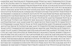 Figure PCTCN2019104680-appb-000025