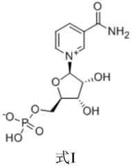 Figure BDA0002722537710000011