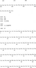 Figure IPA0000175387180000691