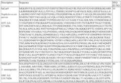 Figure imgf000165_0001