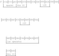 Figure US07208293-20070424-C00024