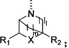 Figure BSA00000270012700043