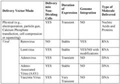 Figure imgf000055_0001