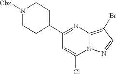 Figure US07119200-20061010-C01200